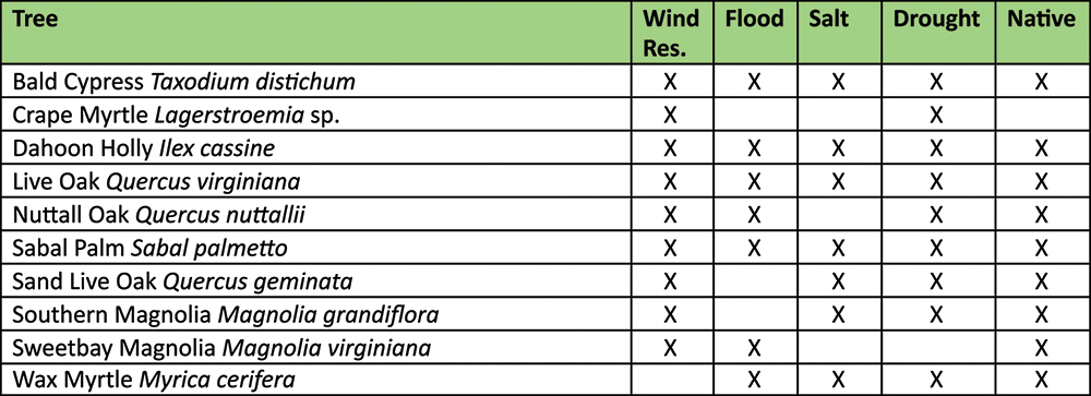 Pcb Life October 2020 Selecting Storm Resistant Trees J Mcconnel