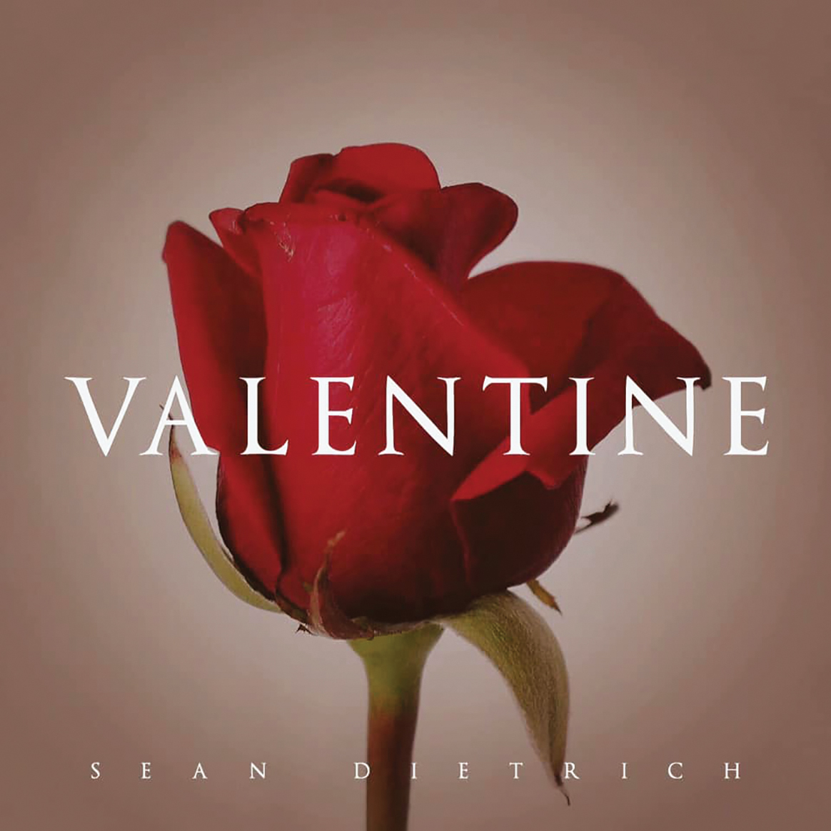 Sean Dietrich Valentine