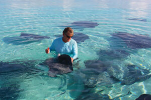 Guy And Stingray