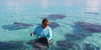 Guy And Stingray