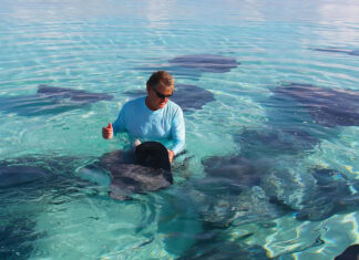 Guy And Stingray