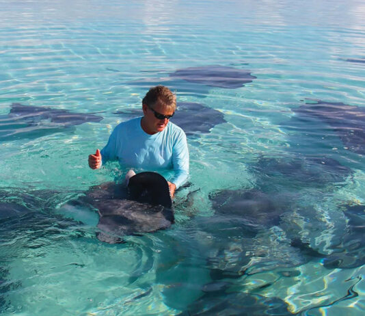 Guy And Stingray