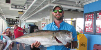 Amberjack