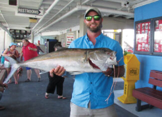 Amberjack