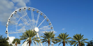 Skywheel1