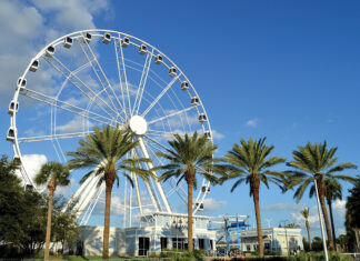 Skywheel1