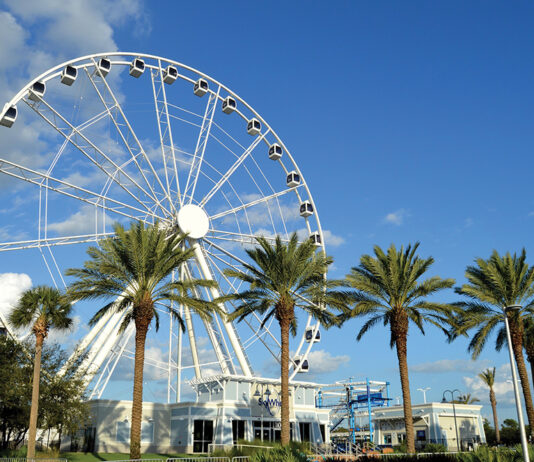 Skywheel1