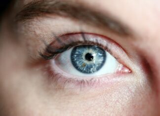 Woman Eye Lashes Blue Eye Portrait Eye Skin Girl