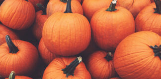 Pumpkins