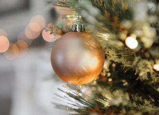 Christmas Bulb on Tree