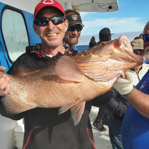 Capt Andersons 34 Inch Red Grouper