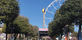 Mardi Gras Img 6061