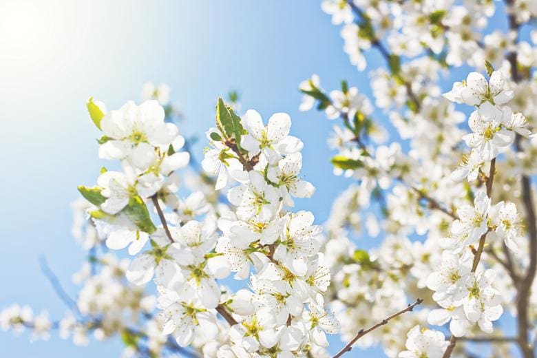 WCC Spring Fling Juried Arts and Crafts Show and Sale March 4