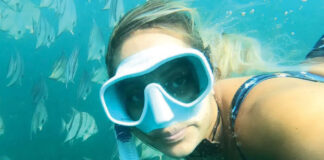 Coastal Wildlife Adv Spade1
