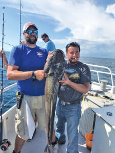 Capt Andersons Cobia 2019.1