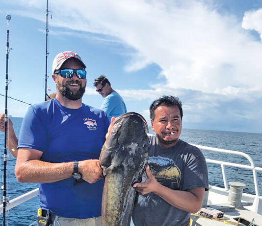 Capt Andersons Cobia 2019.1
