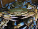 Crabby