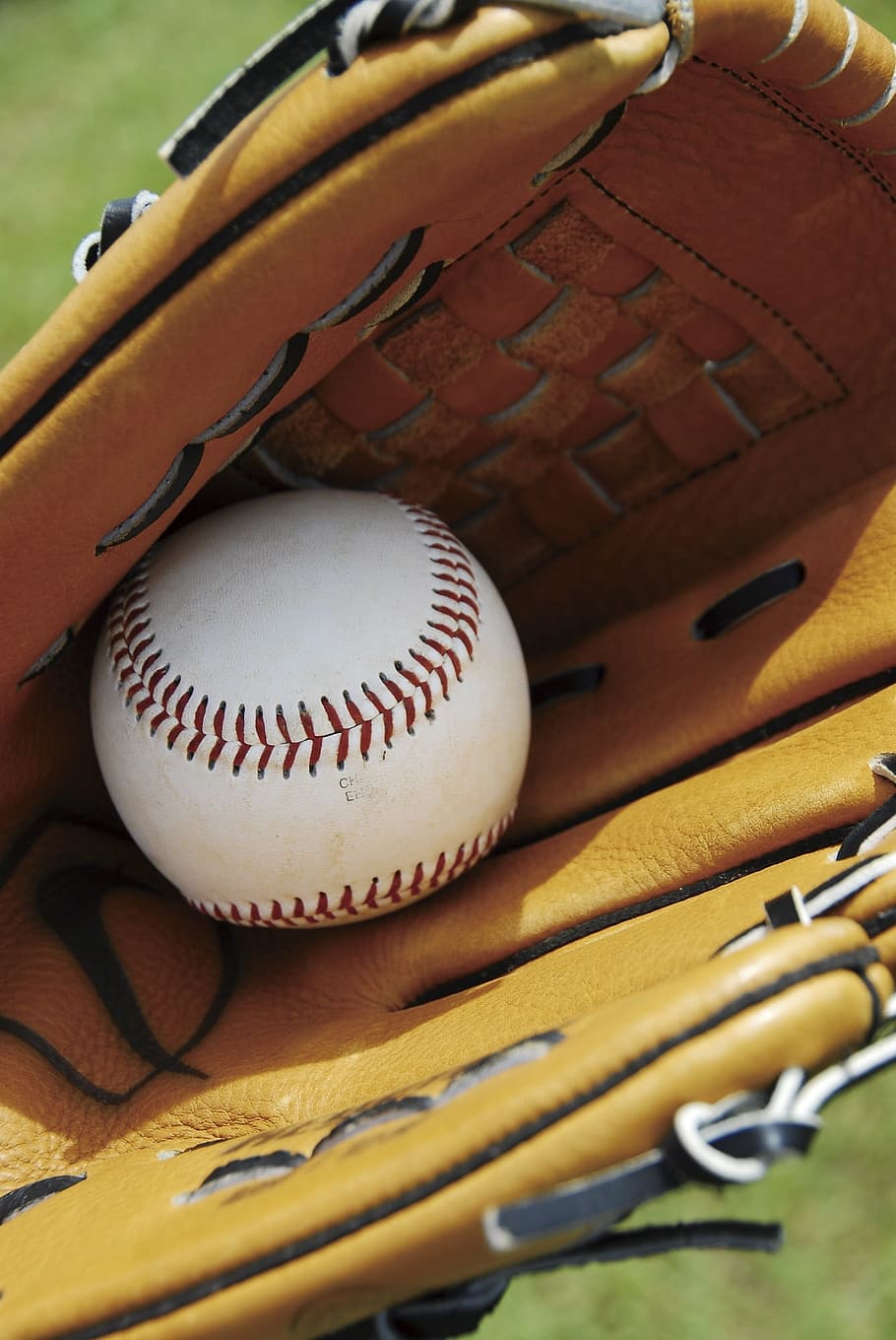 Baseball Glove Sport Equipment