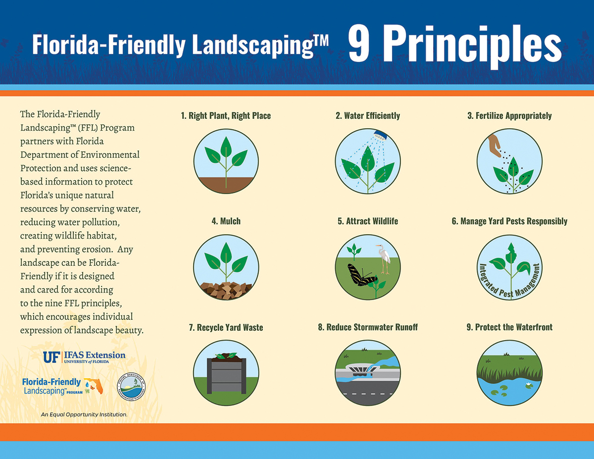 Growing 9 Ffl Principles Graphic