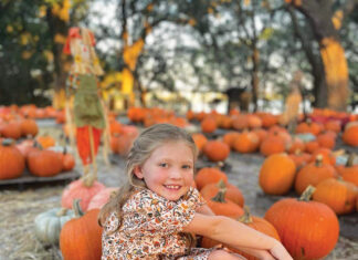 Camp Helen Pumkins