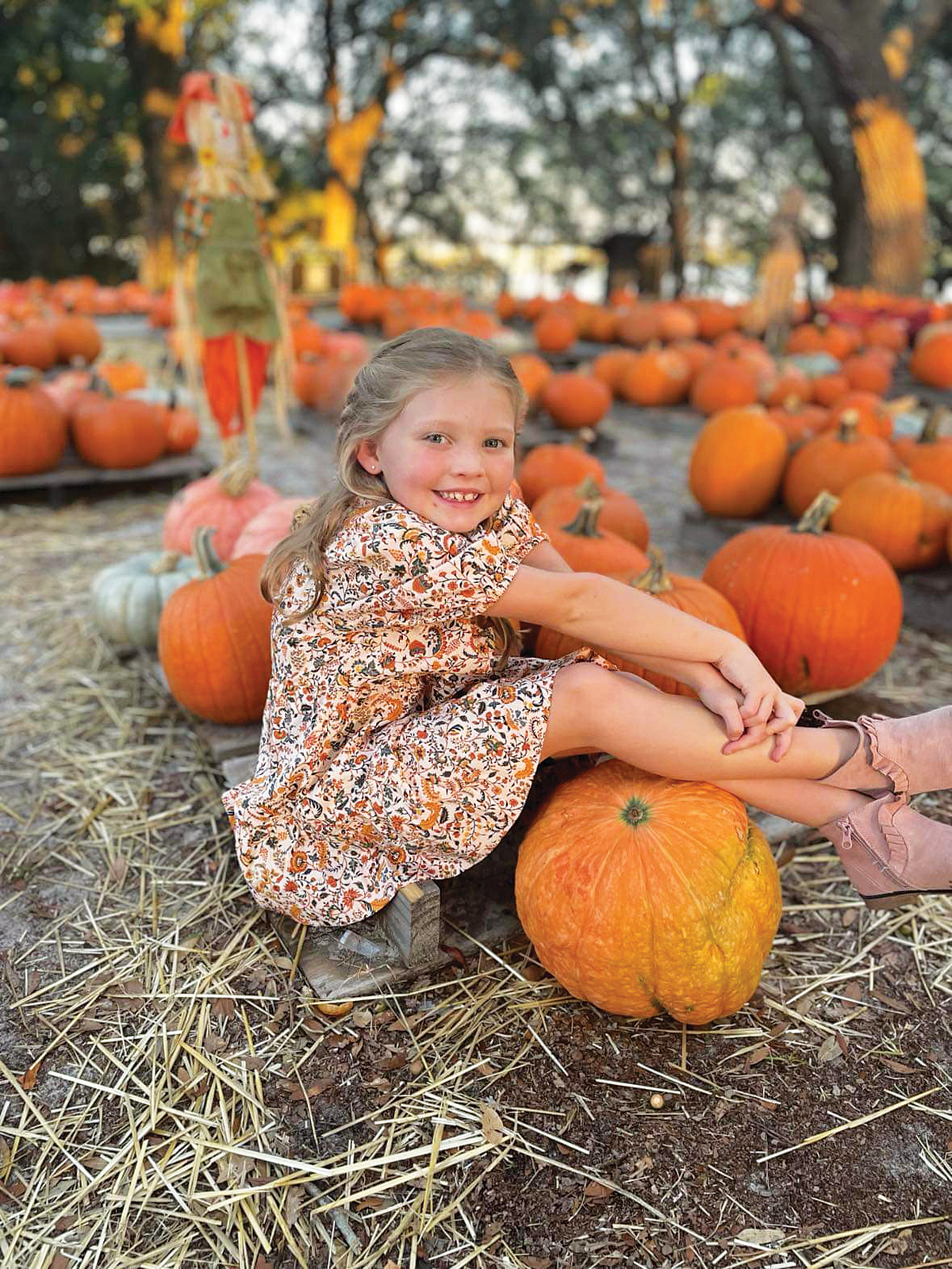 Camp Helen State Park Pumpkin Sale and Saturdays in the Patch