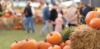 Pumpkins On Straw Bales Against The Background Of People At An Agricultural Fair