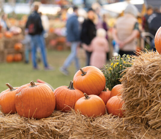 Pumpkins On Straw Bales Against The Background Of People At An Agricultural Fair