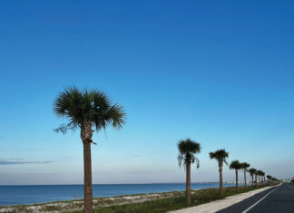 Mexico Beach 7