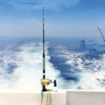 Boat Fishing Trolling Panoramic Rod And Reels Blue Sea