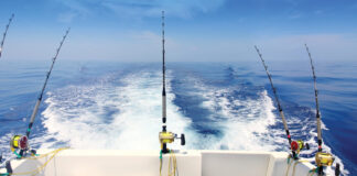 Boat Fishing Trolling Panoramic Rod And Reels Blue Sea