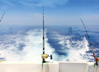 Boat Fishing Trolling Panoramic Rod And Reels Blue Sea