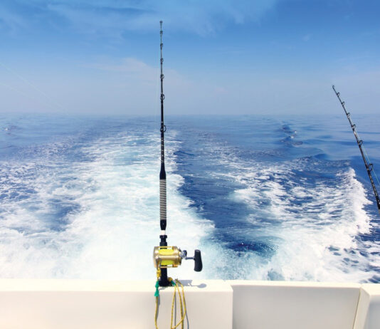 Boat Fishing Trolling Panoramic Rod And Reels Blue Sea