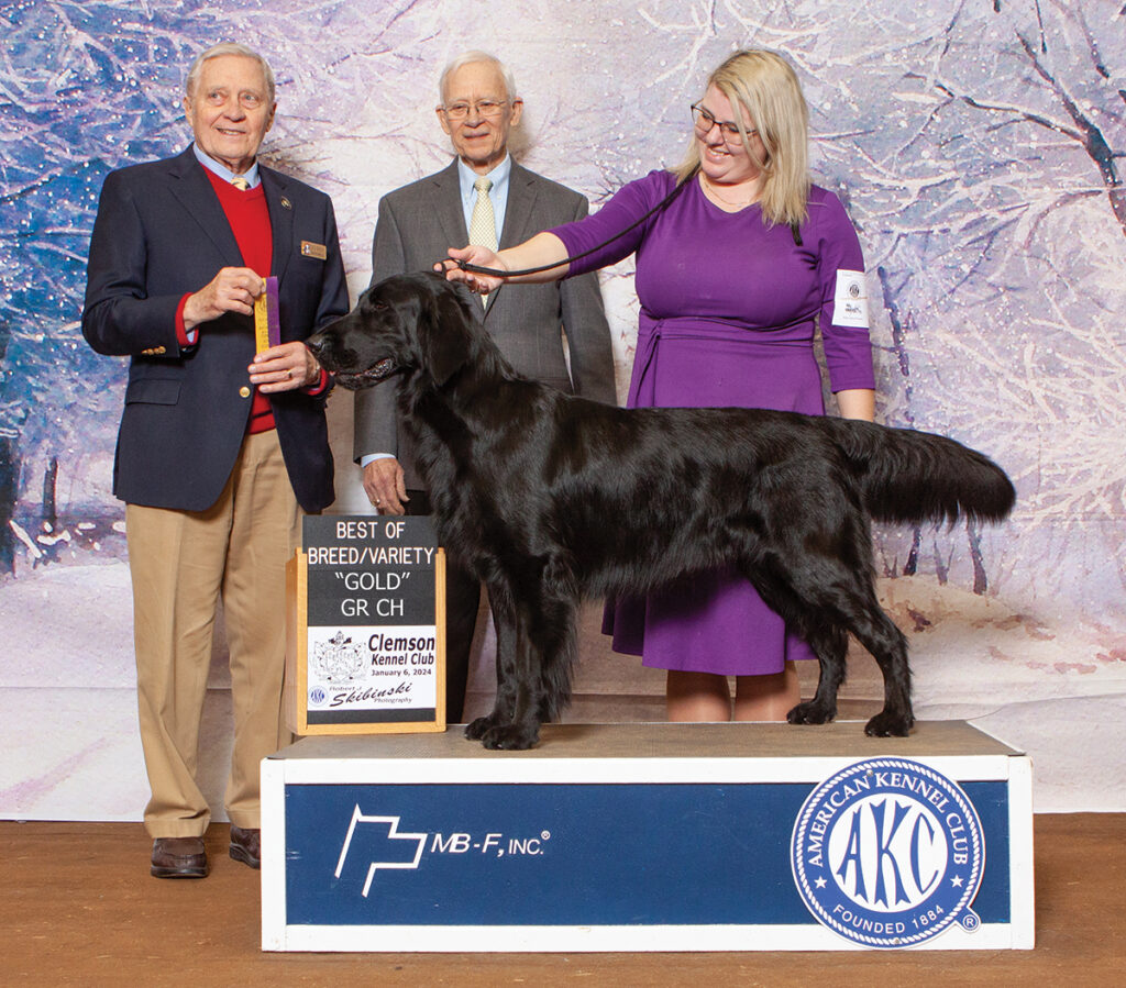 Ruger Becomes Grand Champion Gold In Clemson, Sc, Jan. 6, 2024