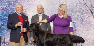 Ruger Becomes Grand Champion Gold In Clemson, Sc, Jan. 6, 2024