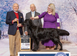 Ruger Becomes Grand Champion Gold In Clemson, Sc, Jan. 6, 2024