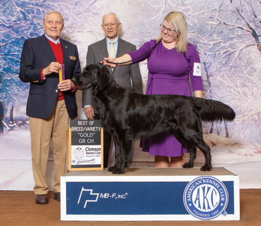 Ruger Becomes Grand Champion Gold In Clemson, Sc, Jan. 6, 2024