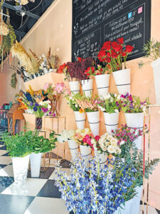 Late Bloomer Flowerbar