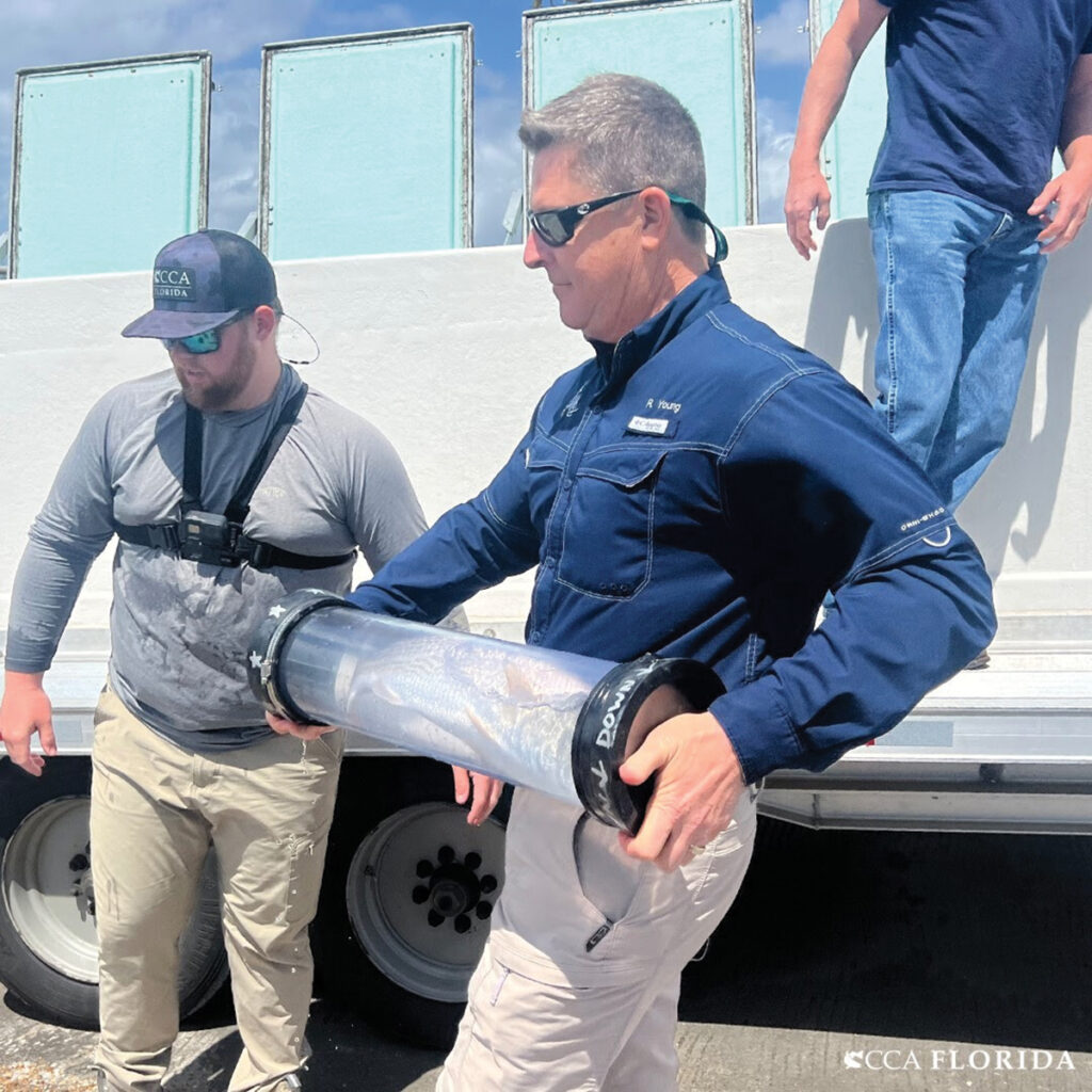 Coastal Conservation Association Florida, the Duke Energy Mariculture Center and the FWC continue Redfish Restocking Efforts Along West Coast