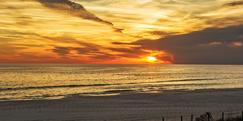 Have a Sunset Cocktail at 
The Reef Bar & Grill
