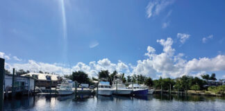 Carefree Boat Club PCB