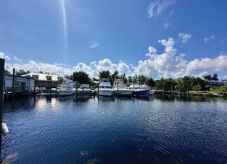 Carefree Boat Club PCB