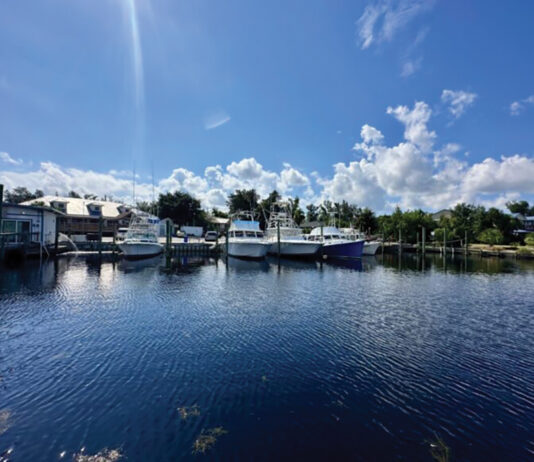 Carefree Boat Club PCB