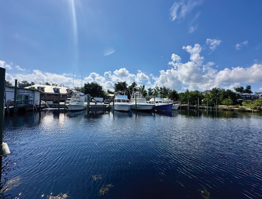 Carefree Boat Club PCB