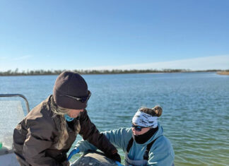 Gulf World Marine Institute Turtle Rescue