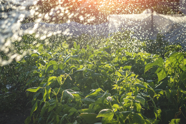 Adobestock 430460910