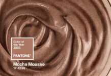 Pantone Mocha Mousse