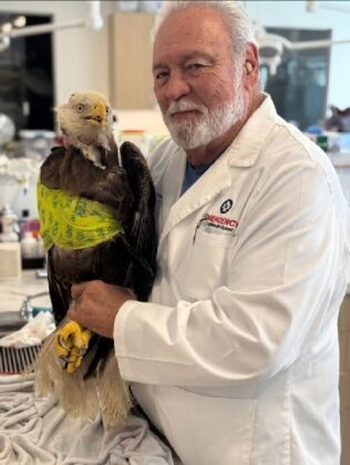 Chief Medical Officer, Phil Blumer, Dmv With Lucky The Eagle