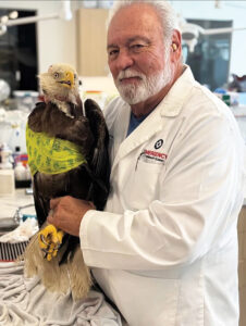 Panhandle Wildlife Chief Medical Officer Phil Blumer Dmv With Lucky The Eagle