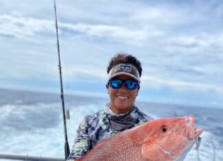 Snapper July