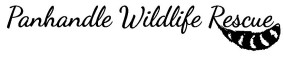 Panhandle Wildlife